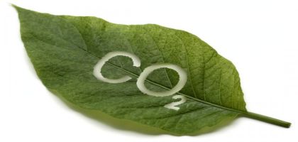 co2-nature