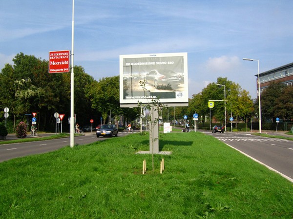 tree-in-front-of-billboard-03